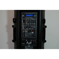 Тонколона за караоке парти PS212 AntX